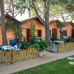 Antica Palmieri Hotel Rzym