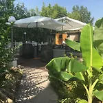 Antica Palmieri