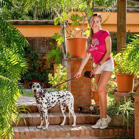 Antica Palmieri 3* Róma