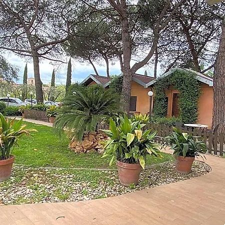 Antica Palmieri فندق روما
