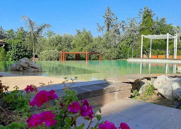 Antica Palmieri Szálloda