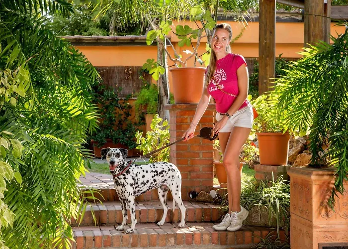 Szálloda Antica Palmieri Róma